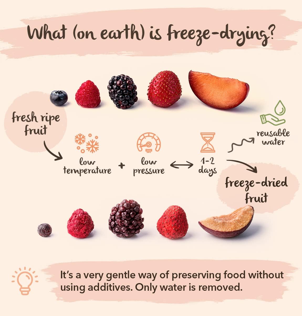 Complément alimentaire Tétibon : Fruits Secs : Fraises Et Bananes Lyophilisés, 110G | Sans OGM, 100% Naturels, Sans Gluten, Vitamines